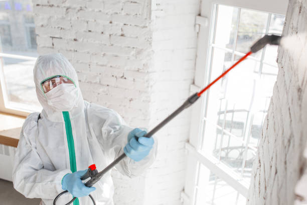 Best Environmental Consulting for Mold Prevention  in Kirtland, OH