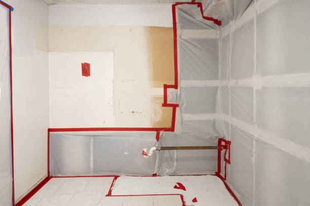 Reliable Kirtland, OH Mold Removal Solutions