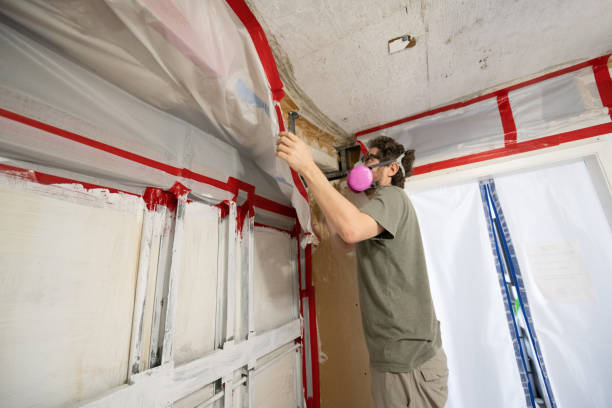 Best Water Damage & Mold Remediation  in Kirtland, OH