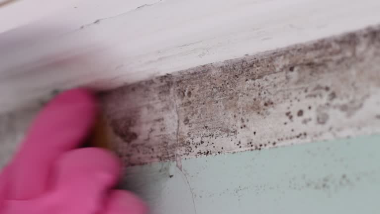 Asbestos and Lead Testing During Mold Inspection in Kirtland, OH